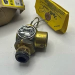Apollo Valves Safety Relief 1/2" Brass RVS52-30 Psi Asme. Fixed Price $45.23.