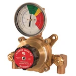 Leonard Valve TA-300-LF Emergency Mixing System. Fixed Price $672.99.