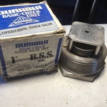 Dft Basic Check 8007 Bss Npt Stainless Vacuum Breaker Valve 1500 Cwp. Fixed Price $85.00.