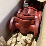 Walworth 1797F Valve 1-1/4 V-42143-A *new*. Fixed Price $175.00.
