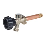 Prier Products 1/2 In. X 8 Brass Anti-siphon Sillcock Valve. Fixed Price $24.99.