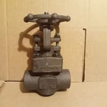Dsi Gate Valve 1" 800 Class Socket Weld Ends A105N Cast Carbon Steel 1975 Psi. Fixed Price $49.00.