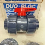 New Asahi/america Duoblock 2" 150 Psi Ball Valve Pvc Epdm Soc/thd Connection. Fixed Price $55.00.