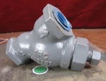 Ifc Flow Controls 1/2" Carbon Steel Threaded Strainer Islip Y600TST. Fixed Price $75.00.