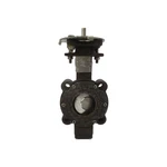 Keystone CSS1TSG Ser. 362 50/285PSI 2" Unmp. Fixed Price $179.00.