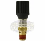 0-100 Psi Brass Cr Series Adjustable Air Pressure Relief Valve Control Devices. Fixed Price $16.95.