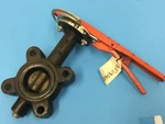 Stockham P/n: LG-712-BS3-E Size 2" Butterfly Valve Unused. Fixed Price $149.99.