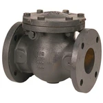 Flanged Cast Iron Swing Ibbm Check Valve Nibco F-918-B 2-1/2. Fixed Price $420.00.