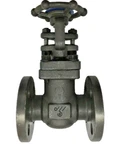 Dsi 1131A8-18 Forged Steel Gate Valve 3/4" Class 150 Rf Flanged Api Trim #8. Fixed Price $83.50.
