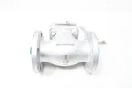 Powell 2.0 1561FC8GXXX Steel Flanged Check Valve 2IN 150. Fixed Price $223.95.