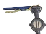 Nibco 2" WD-3010-3 Wafer Style Butterfly Valve 250 Psi W/ Handle, NLH200D. Fixed Price $47.99.