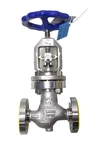 Wta Armaturen ASA300 1/2" Nps Globe Valve Cl #300, 1.4408 Stainless Steel CF8M. Fixed Price $499.99.