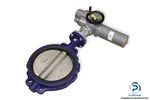 Auma Sg 05.1-F05-F07 Multi-turn Actuator 23008753/3306NS17741 Ivr ART.178 Valve. Fixed Price $1199.99.