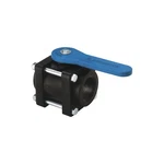 Full Port Ball Valve, 2IN. Female Thread. Fixed Price $64.99.