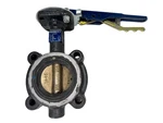 Nibco LD2000 Lug Butterfly Valve 2-1/2" Psi Body, Bronze Disc, Epdm Seat. Fixed Price $84.74.