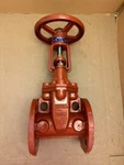 Nibco F-607-RWS 2-1/2" 300 Psi Flanged Iron Body Gate Valve. Fixed Price $289.96.