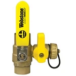 Webstone H-50615 Pro-pal Series 1-1/4" C X Ball Valve With Drain Outlet. Fixed Price $100.88.