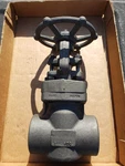 Dsi 2" Class 800 Socket Weld Sw Gate Valve A105N Forged Iron 4111 A8-18 F6 Hf. Fixed Price $85.00.