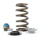 Comp Cams Valve Spring Kit Fits F-150 11 17 Engine, Ford: Lo. Fixed Price $1384.65.