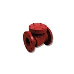 Matco 120F10 Epoxy Coated Cast Iron Flanged Check Valve. Fixed Price $469.96.