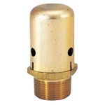 Bell & Gossett 113075 Vacuum Breaker, 3/4 In, Mnpt, 240 Psig, 300 Deg F. Fixed Price $204.44.