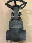 Williams Gate Valve Assembly 1975 Psi Class 800 1-1/2" A105N. Fixed Price $80.00.