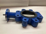 Abz Valve & CONTROLS,A0104936,5" Butterfly 200 Psi Cast Iron. Fixed Price $150.00.