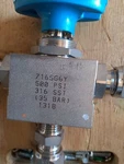 Hoke Selecto-mite 7165G6Y 500PSI 316SST 35BAR 1318. Fixed Price $49.99.