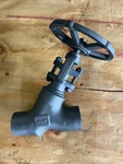 Newco 2 Y-globe Valve, A105N, Welded Bonnet, Sw X. Fixed Price $350.00.