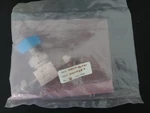 Benkan Scv Valve 022746731 316L 10K 3/8 In KM364 365 81032901 Lot Of. Fixed Price $104.99.