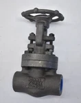 Bonney Forge Gate Valve 1" Class 800 Standard Body 227607-007 112GD 01975 Psi. Fixed Price $59.99.