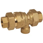 Apollo 4A4A44AM Dual Check Valve W/ PORT,BRASS,3/4",FNPT 48UE76. Fixed Price $103.28.