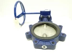 Keystone T097 Manual Stainless Butterfly Valve 8IN 200. Fixed Price $492.80.