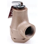 Watts 374A Pressure Relief Valve, 3/4 In, Fip, Iron Body. Fixed Price $76.31.