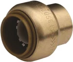 Cash Acme 421329LF Proplus 262055 Spring Check Valve Pvc 1-1/4" Fip. Fixed Price $18.47.