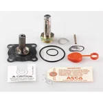 Asco 302306 Valve Rebuild Kit, With Instructions. Fixed Price $210.99.