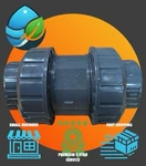 Era Sch 80 Pvc 1-1/4 Inch True Union Ball Check Valve Soc Connect DN32 Sxs. Fixed Price $24.07.