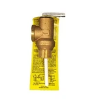 Raritan Engineering WH3 1700 Series Water Heater Pressure Relief Valve 75 Psi. Fixed Price $54.73.