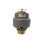 Kunkle Valve 0337-J01AKE 15PSI 2-1/2" Nsnp. Fixed Price $774.00.