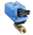 Johnson Controls VG1245AD+9A4AGA Valve With Actuator. Fixed Price $189.99.