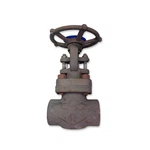 Industrial Forged Steel Gate Valve (omp/omb Brand), 1/2 Inch, Class 800, A105N. Fixed Price $69.89.