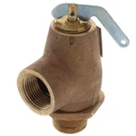 Apollo Valves 10-301-05 RVW30 Relief 550000 Btu Psig. Fixed Price $126.85.
