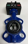 Emerson Keystone F89E-003 Da. Fixed Price $585.49.