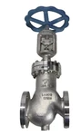Wta Armaturen ASA150 3" Nps Globe Valve, Flanged, Cl #150, 1.4408 CF8M Stainless. Fixed Price $699.99.