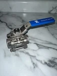 Trueline N650-ISO CF8M Threaded Ends. Fixed Price $37.00.