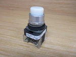 Allen Bradley Button 800T-QB24WD1 W/800T-XD1 & Blank. Fixed Price $44.77.