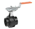 2-1/2 Victaulic Butterfly Valve, 300MS, V020761SE2 Series VIC-300 Masterseal. Fixed Price $300.00.