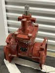 Matco-norca Fire Main Gate Valve 225M. Fixed Price $191.77.