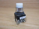 Allen Bradley Button 800T-QB24WD1 W/800T-XD1/BLANK. Fixed Price $176.77.