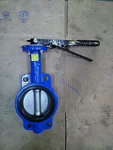 4" Butterfly Valve Wafer With Align Holes Stainless Disc Viton Seat Handle. Fixed Price $205.00.